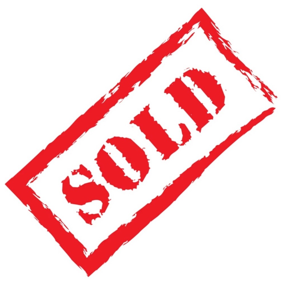 Zara Tan Double Strap Flats